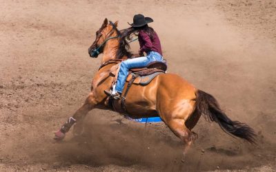 Riding the Trend: How AI and NFTs Can Bring in New Rodeo Fans
